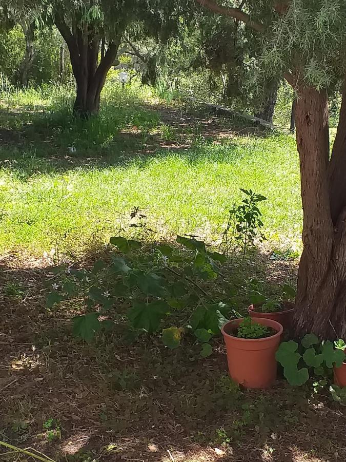 B&B Daillu Olbia Luaran gambar