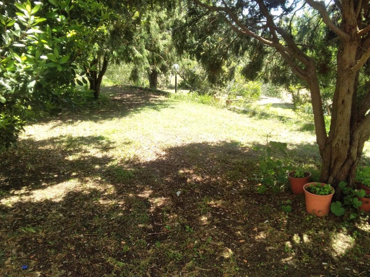 B&B Daillu Olbia Luaran gambar